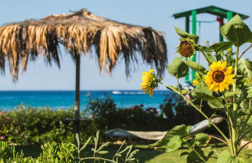 Garden Studios - Foto 54