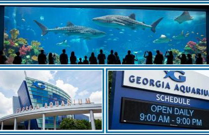 In-Shower Sauna, Fenced Yard w Deck & BBQ Near ATL - Foto 45