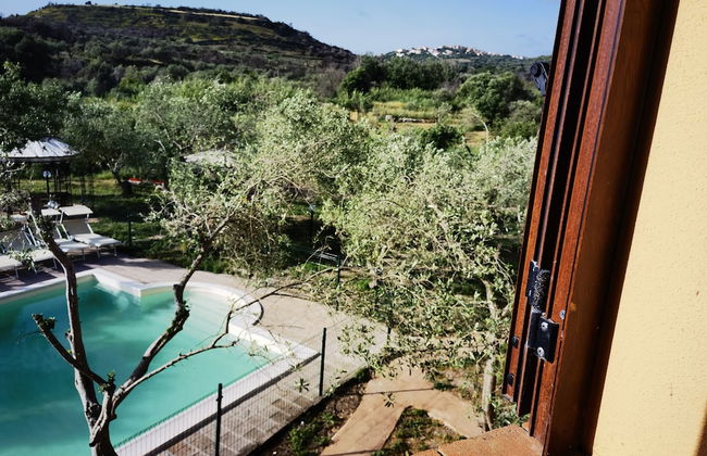 la corte degli ulivi - Foto 17