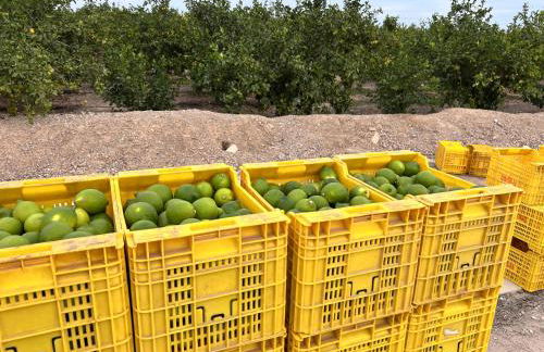 Turquesa del Mar - Charming Ground-Floor Spanish Apartment with Large Sunny Terrace - Foto 60