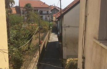 Gli dei e le Rose - Foto 41