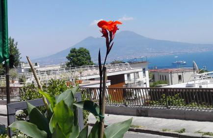 MONOCAMERA con TERRAZZOgiardino -STUDETTE -zona Panoramica POSILLIPO - Photo 2