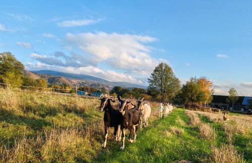 BAJKA-Domek na wsi - Foto 42