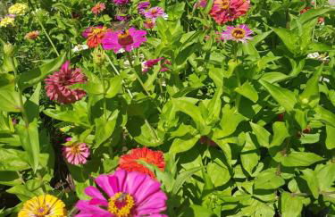 Eleni B&B - Photo 27