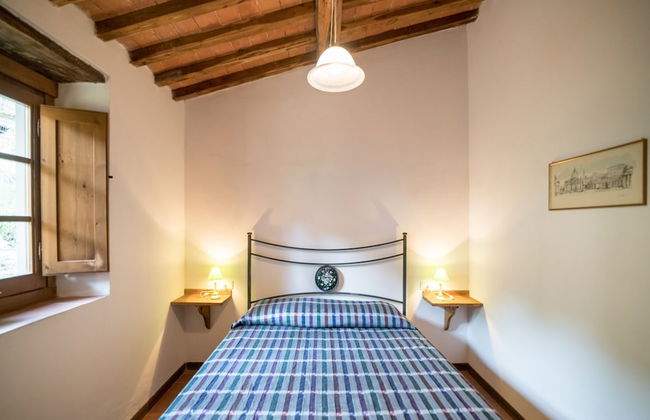 Fattoria di Cintoia - Photo 9