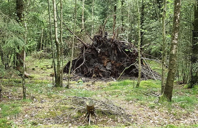 Bright Cottage Retreat in Silkeborg-by Traum - Foto 18