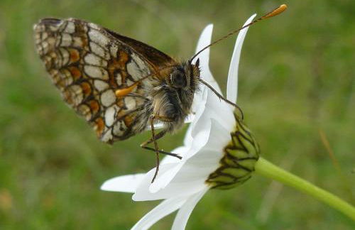 Metsola Apartamentos Rurales - Foto 44