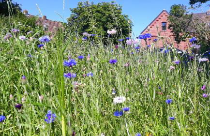 Villa Nordic - Foto 23