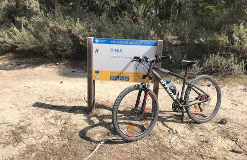 Monte Santu T2 - Foto 3