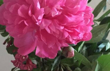 Uroczy dom i bezpłatny parking - Foto 35