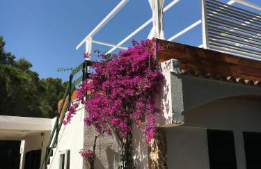 La Mandioca - Foto 19