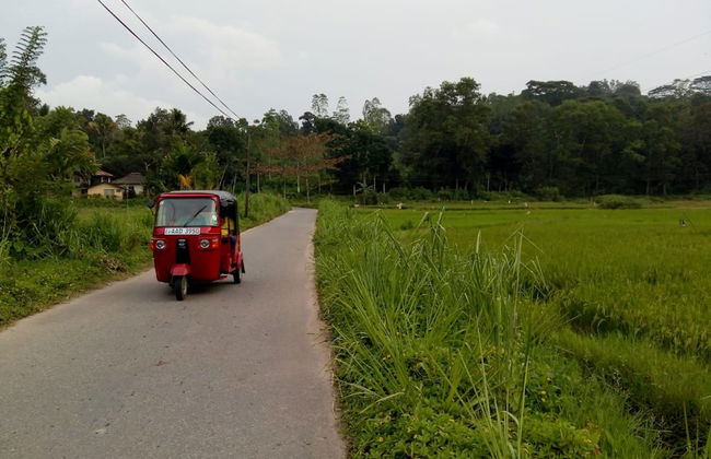 Captain's Bungalow - Foto 12