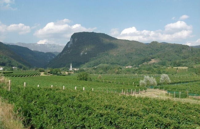 Agriturismo Al Vecchio Portico - Photo 77