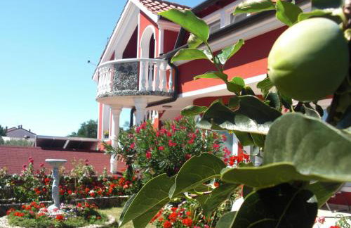 apartma Jelka - Foto 38