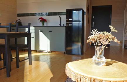 Domek Dzikie Lisko - Foto 22