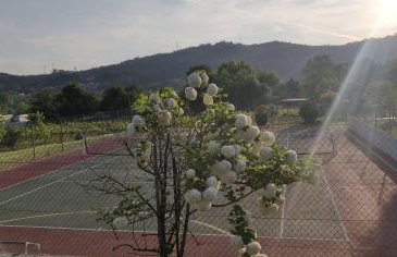 Quinta Lama de Cima - Photo 77