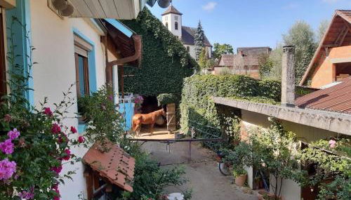 Rosenhof Broggingen - Foto 3