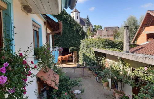 Rosenhof Broggingen - Foto 3