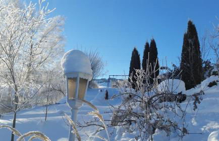 Ferienhaus Allgäu - Foto 14