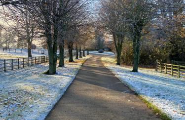 Tilly’s stable - Photo 6