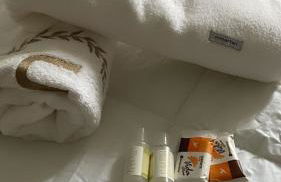 Santa Teresa dos Colibris - Foto 6