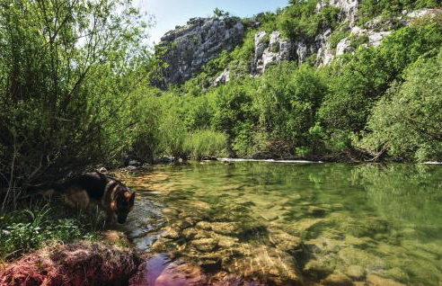 Stunning Home In Ugljane - Foto 35