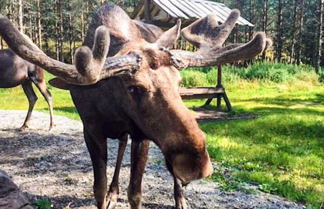 5 Person Holiday Home in Hedekas - Foto 12