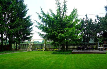 Świerkowe Zacisze Nałęczów - Foto 20