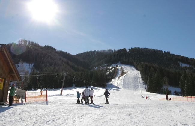 Comfortable Chalet in Hohentauern with Whirlpool near City Center - Photo 39