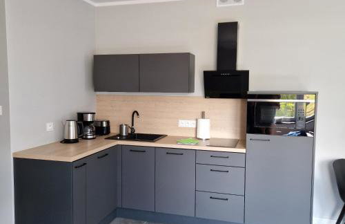 Apartament Brzózka - Foto 18