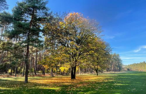 Ferienhaus unter Reet im Heidedorf Sankt Dionys bei Lüneburg - Foto 54