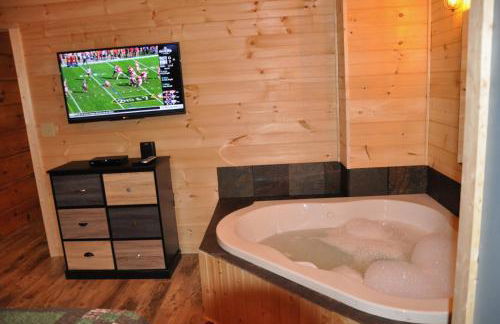 Bears Among Us - Foto 15