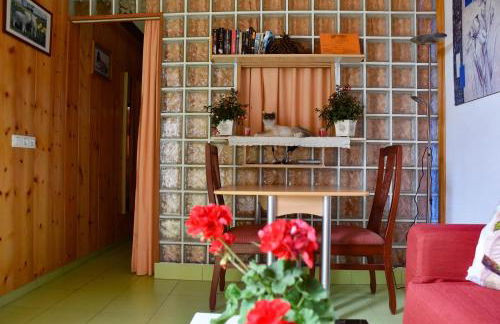 Apartamentos Los Delfines - Foto 26