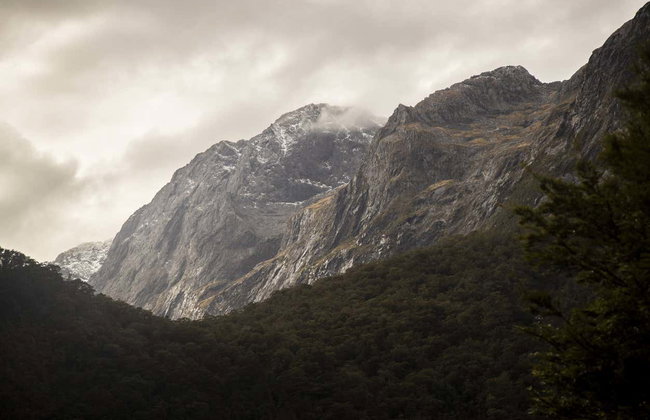 Excursión al fiordo Milford Sound - Foto 7
