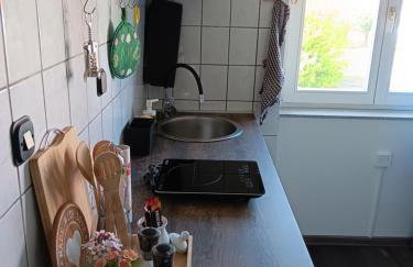 Apartman Dunav - Foto 29
