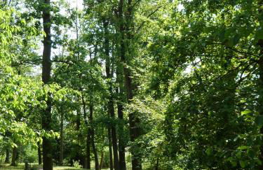 Spilburg Apartments - Foto 21