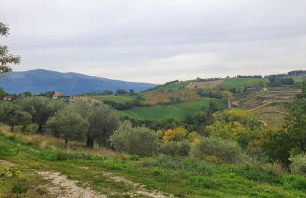 La lepre nella Luna - Foto 35