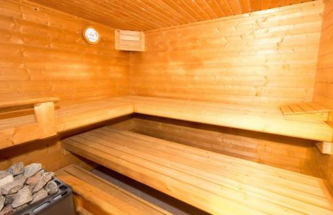 Nachtkerze - Foto 17