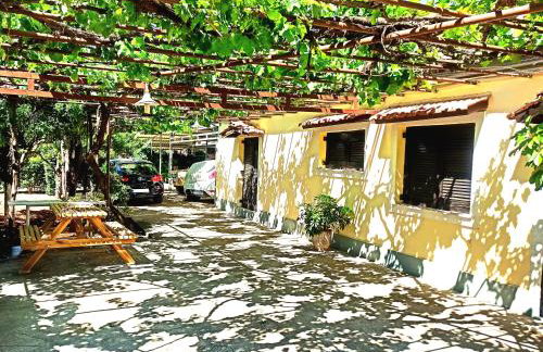 Spacious farmhouse with big yard and fireplace - Foto 17