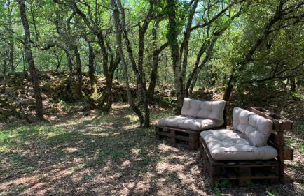 "Le Repos Des Chênes" Gorges du Verdon - Foto 15