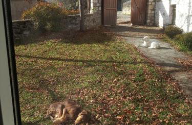 Ginî Viñis - Foto 29