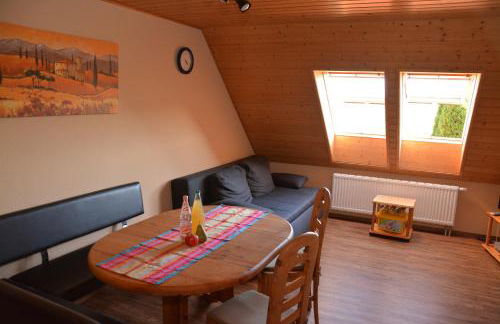 Ferienhof-Dachsberg Wohnung Weitblick - Foto 1