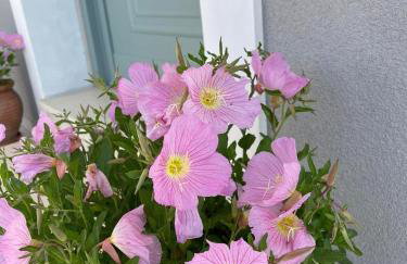 Rose garden home - Foto 21