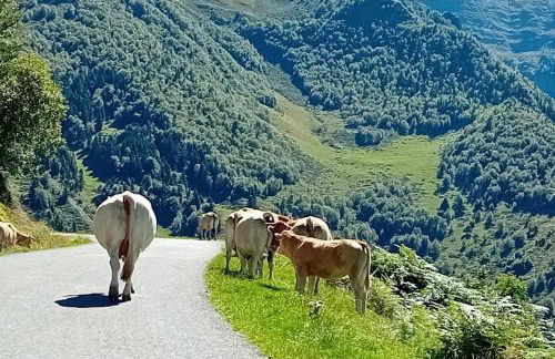 2 pièces cosy Saint-Lary- Vielle Aure - Foto 31