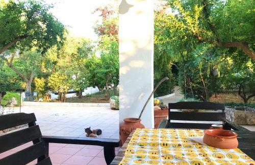 Villa Sara di Puglia - Foto 14