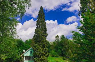 Casa "Dolina Kraljevac" - Foto 33