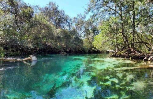 Modern 3BR Home, Saltwater Pool, Fenced Yard - Foto 30