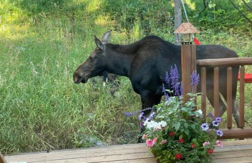 3137 Arrowhead - Foto 3