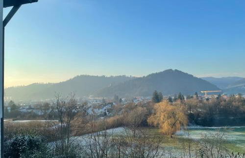 FeWo “ruhige Momente” in Waldkirch - Foto 21
