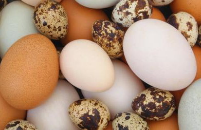 Agroturystyka,, Ranczo Kruszynki" - Foto 6